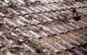 Dale Hill roof cleaning companies